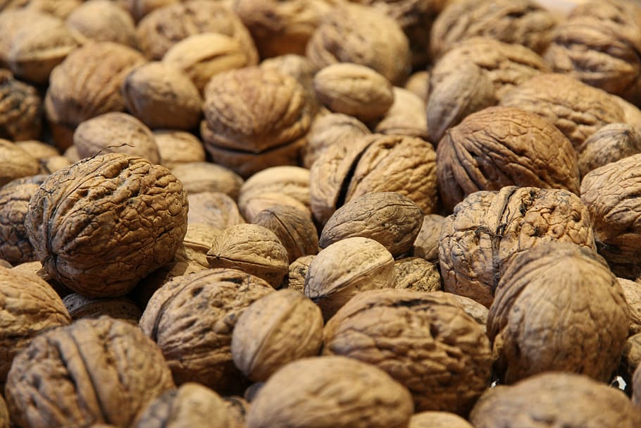 walnuts, close, food and drink, large group of objects, abundance HD wallpaper