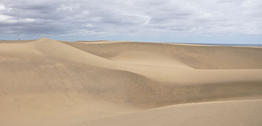 desert, sand, dune, wide, nomad, beach, hot, landscape, nature HD wallpaper