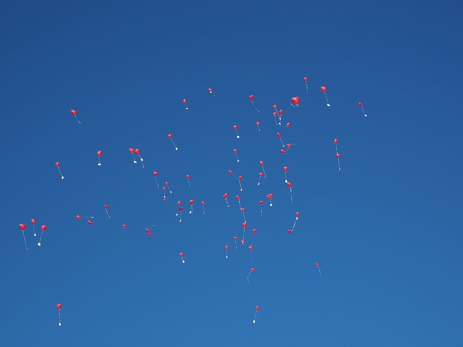 balloons, fly, wedding, congratulations, rise, upgrade, heart HD wallpaper