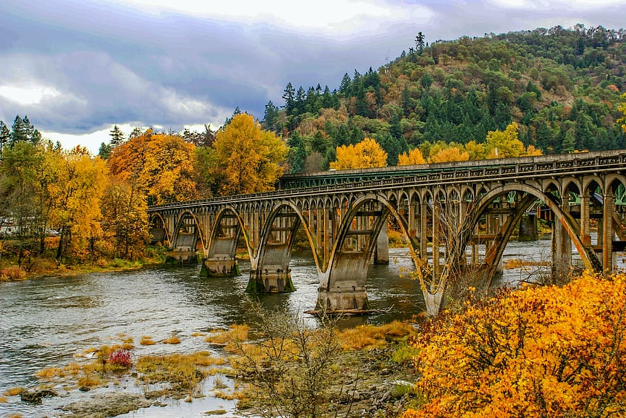 landscape photography of brown bridge, fall, river, leaves HD wallpaper
