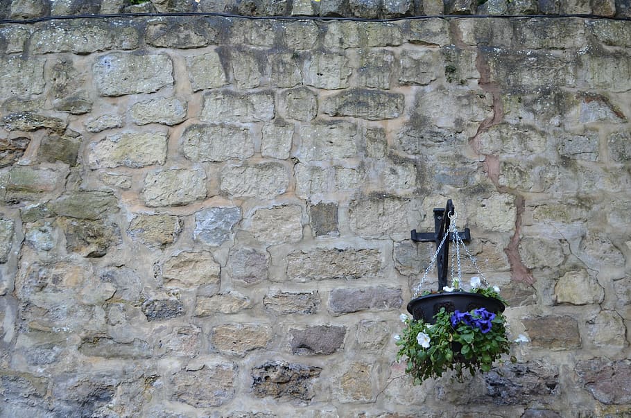 stone, wall, background, flowers, concrete, rough, cement, construction HD wallpaper