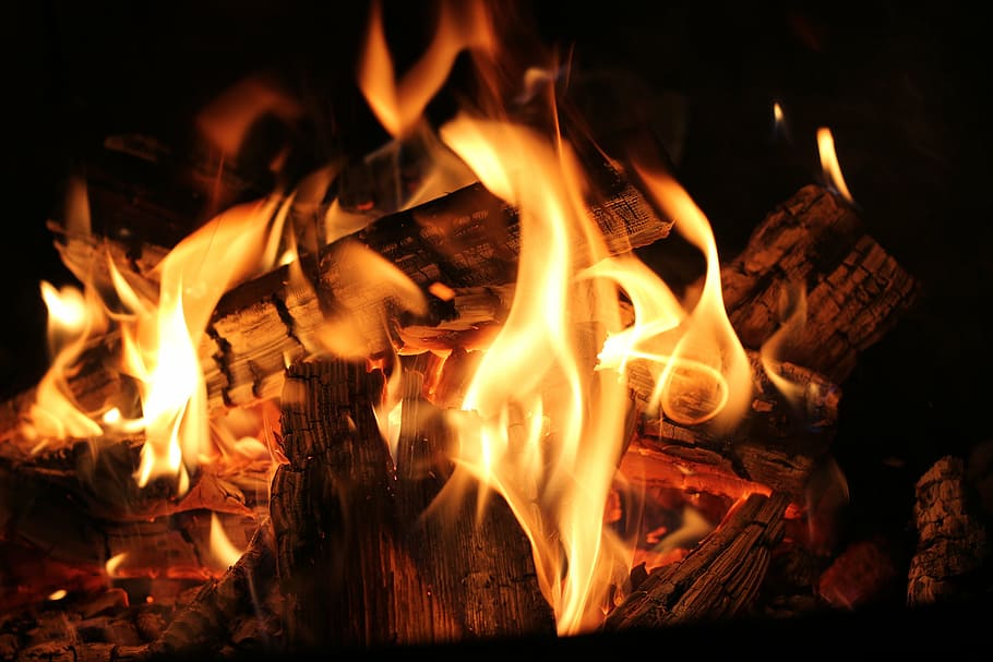 shallow focus of bonfire, campfire, burn, flame, lighting, smoke HD wallpaper