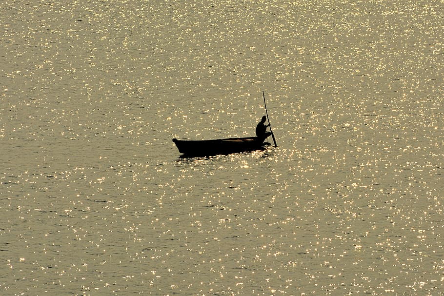 person on boat fishing on body of water, silhouette of person riding boat HD wallpaper