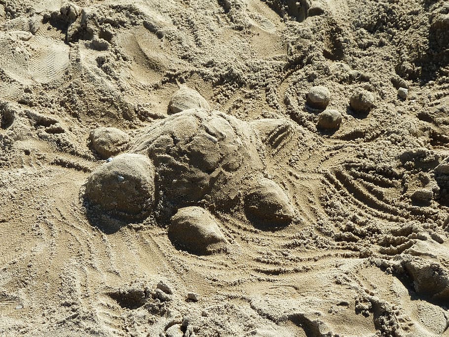 sand, turtle, sculpture, summer, art, land, beach, nature, full frame HD wallpaper