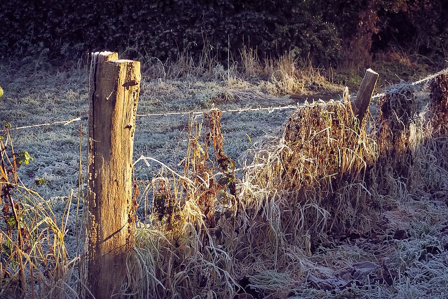 Landscape, Nature, Mood, Bluegrass, fence, fence post, barbed wire, HD wallpaper