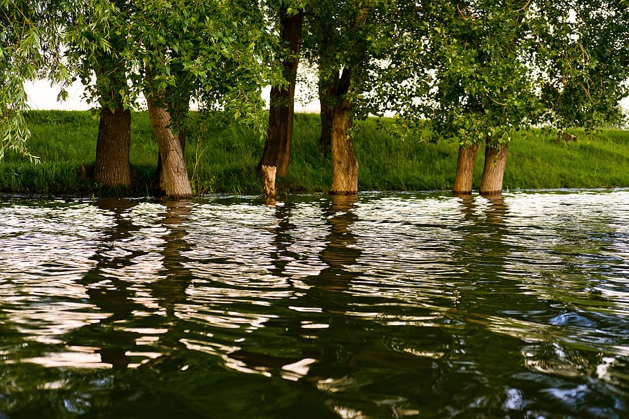 river, sunset, flood, beautiful, nature, green, dawn, summer HD wallpaper