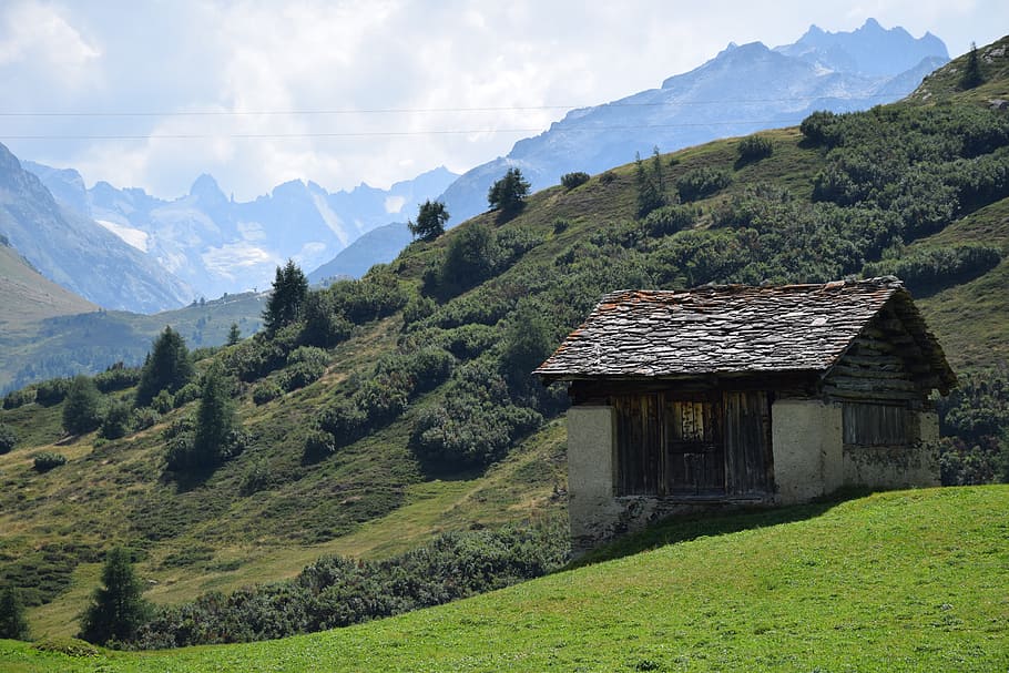 alm, mountain, alp, plant, architecture, beauty in nature, built structure HD wallpaper