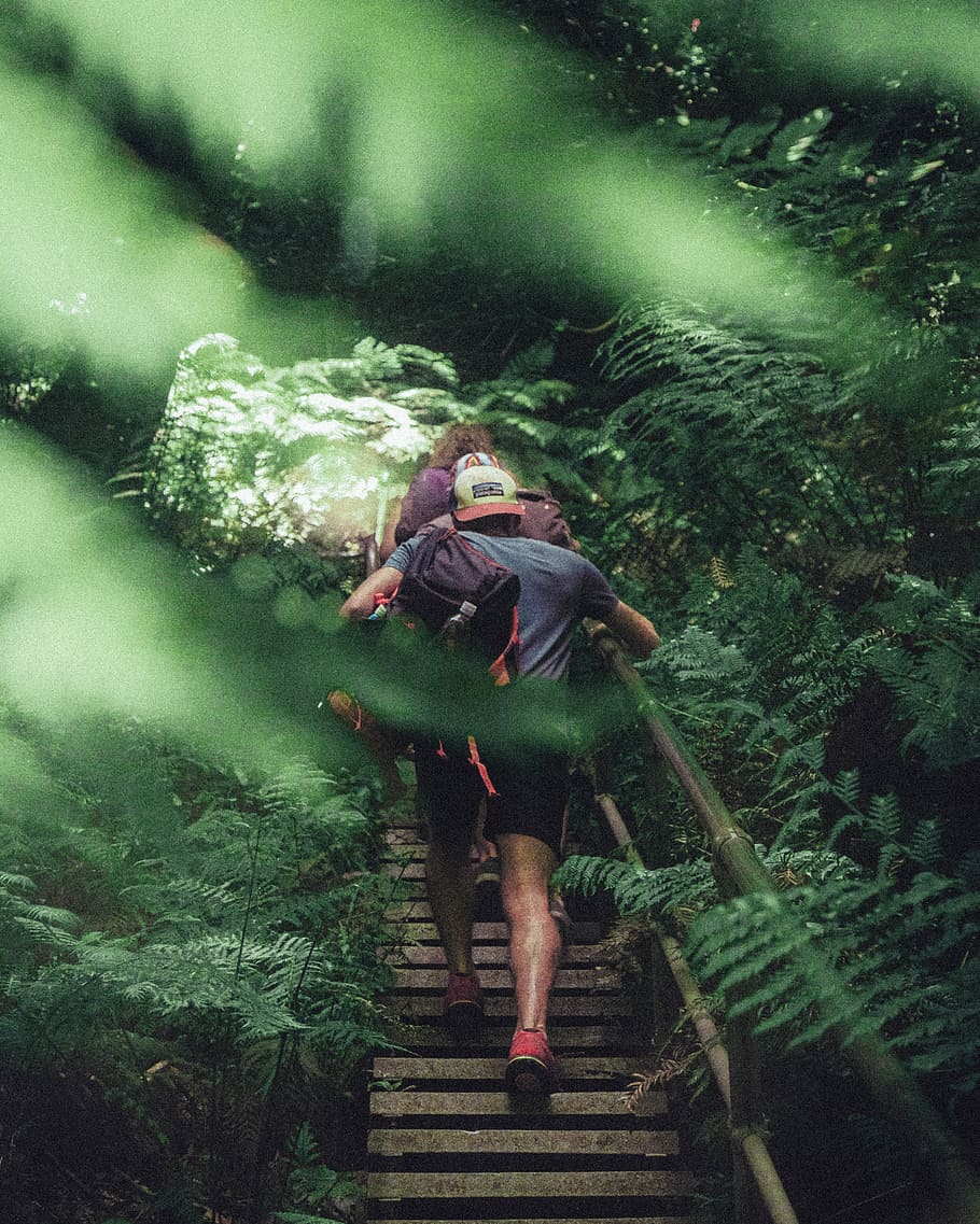 man and woman crossing bridge, man climbing at stairs, tree, walk HD wallpaper