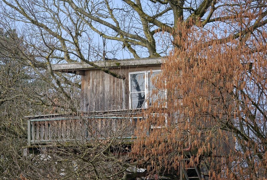 treehouse, hut, nature, home, live, accommodation, tree hut HD wallpaper