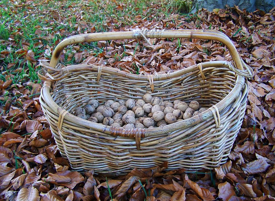 basket, wicker basket, container, day, high angle view, no people HD wallpaper