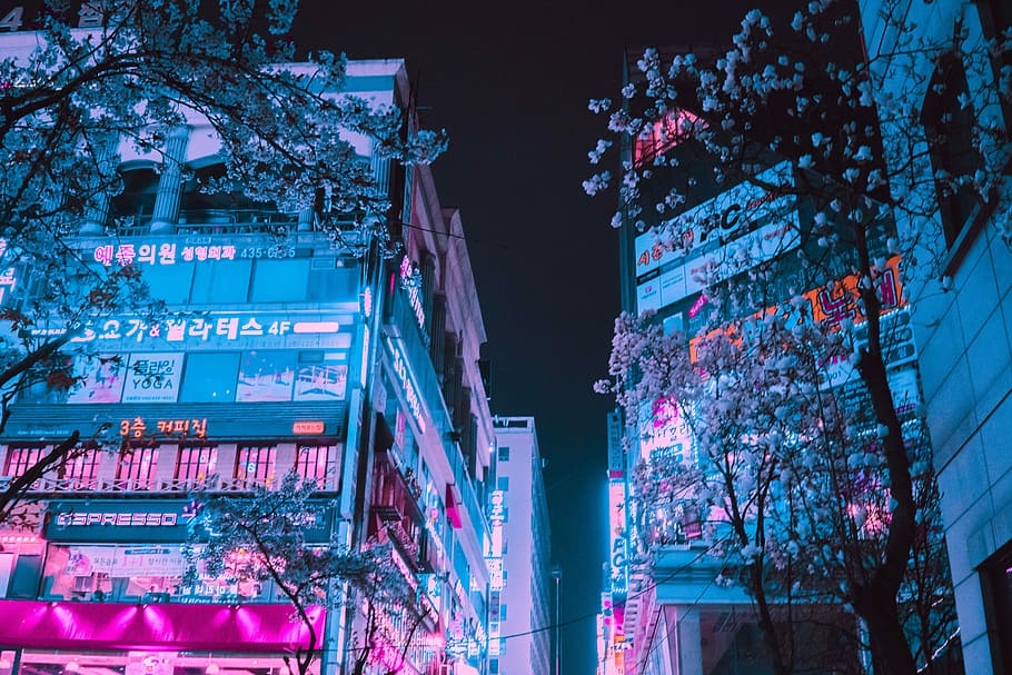 Neon Blossom, photo of buildings during night, neonwave, outrun