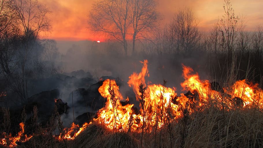 fire, the conflagration, koster, spark, flame, coals, firewood HD wallpaper