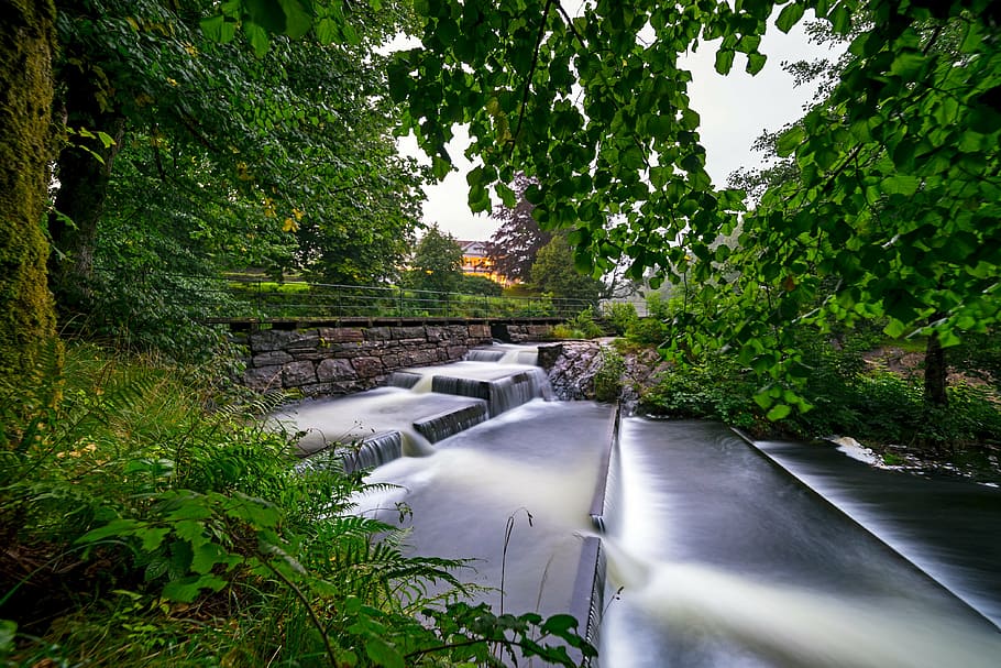 fish, ladder, forest, river, nature, outdoors, dam, flowing HD wallpaper
