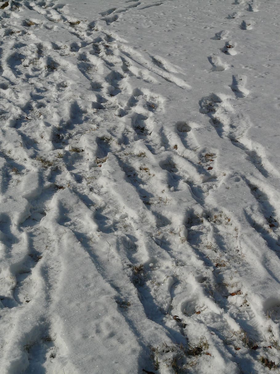 traces, snow, wintry, snow lane, footprints, reprint, winter HD wallpaper