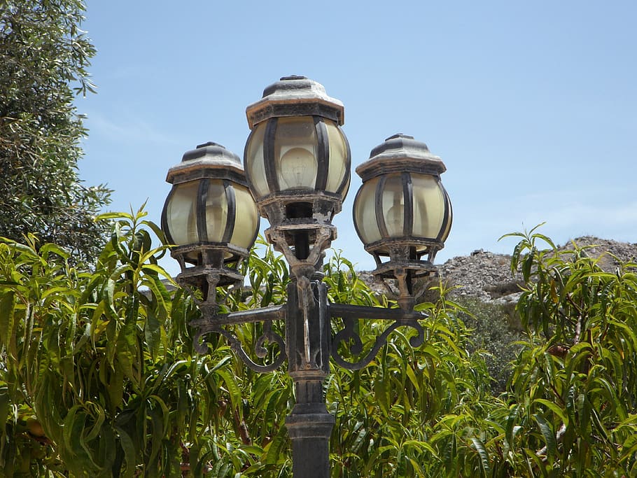 lantern, lamp, lighting, street lamp, plant, sky, nature, day HD wallpaper