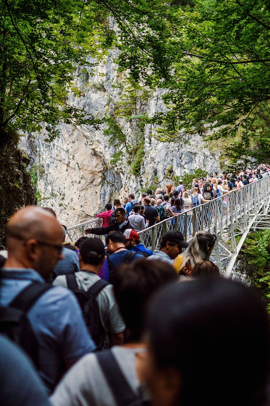 people standing on bridge near trees, cliff, mountain, crowd HD wallpaper