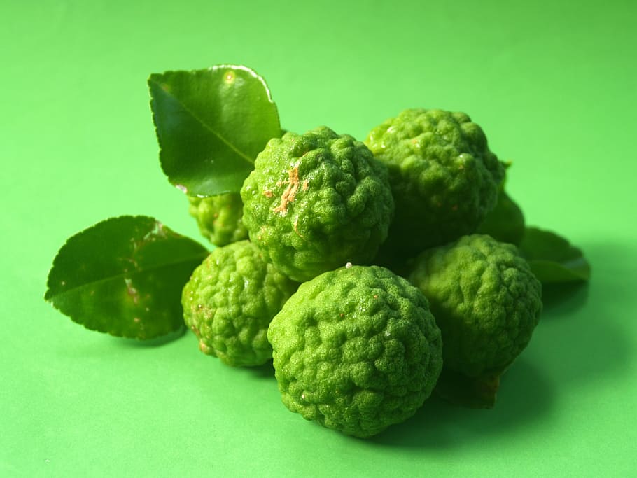 bergamot, fruit, leaf, isolated, thailand, rough, lemon, natural, HD wallpaper