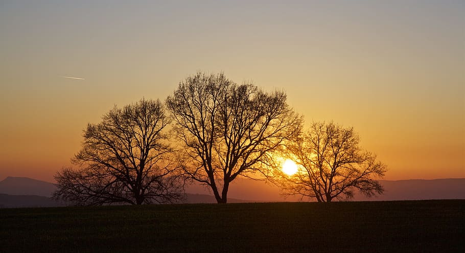 sunset, trees, back light, abendstimmung, evening, contrast HD wallpaper