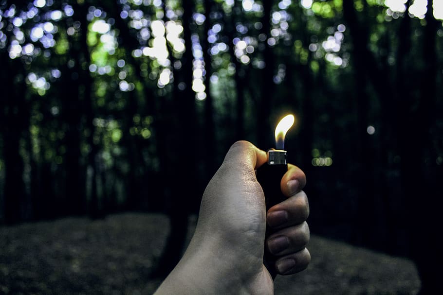hand, forest, lighter, fire, nature, darkness, night, human hand HD wallpaper