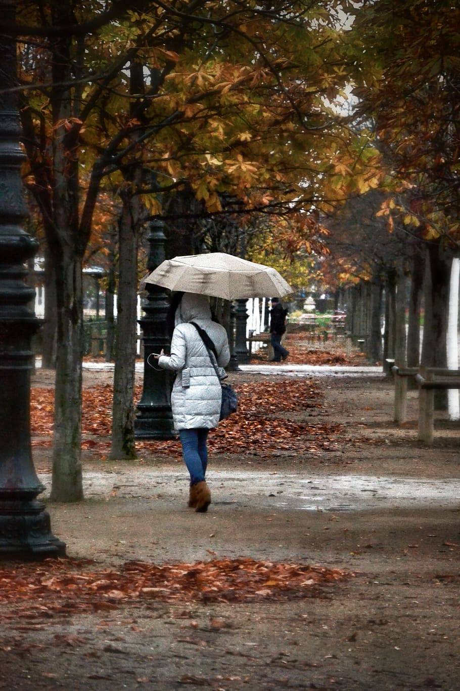 fall, park, trees, leaves, umbrella, rain, wind, nature, city HD wallpaper