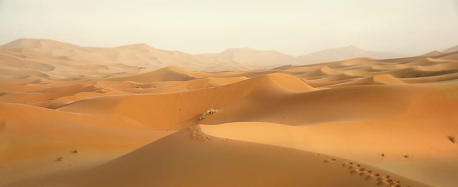 desert with white sky, brown, dessert, morocco, dunes, sand, landscape, HD wallpaper