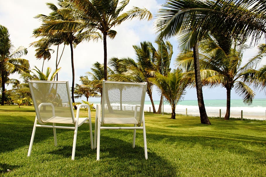 beach, dom, holidays, summer, pleasure, plant, tree, grass, HD wallpaper