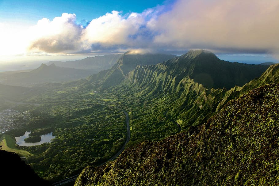 green tree on mountain, aerial photography of mountain range HD wallpaper