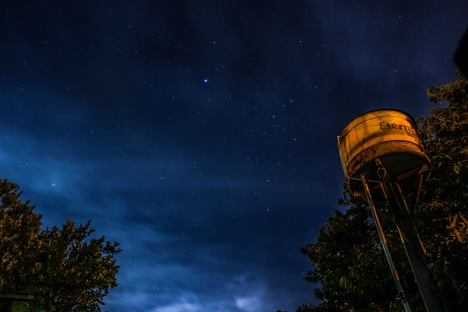 worm's-eye view photography of white steel tank beside green tree under starry sky, silhoutte of tree under milky way HD wallpaper