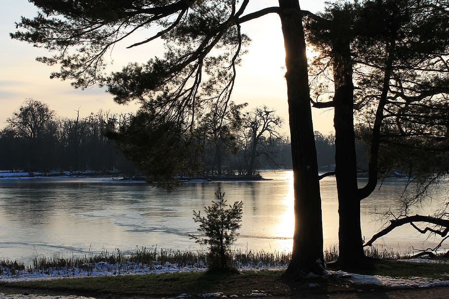 nature, winter, water, tree, plant, lake, tranquility, tranquil scene HD wallpaper