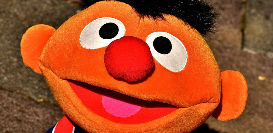 Plush, Cute, Fun, Toys, ernie, funny, stuffed animal, soft toy HD wallpaper