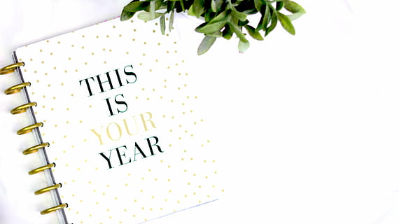 white and gold polka-dot notebook beside green leaf plants close-up photo HD wallpaper
