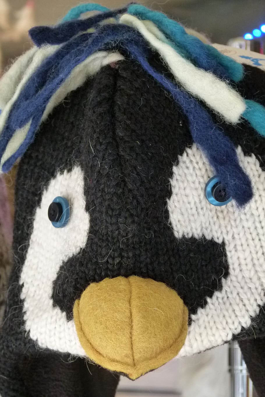 tuque, knitted, funny, cap, wool, penguin face, close-up, animal HD wallpaper
