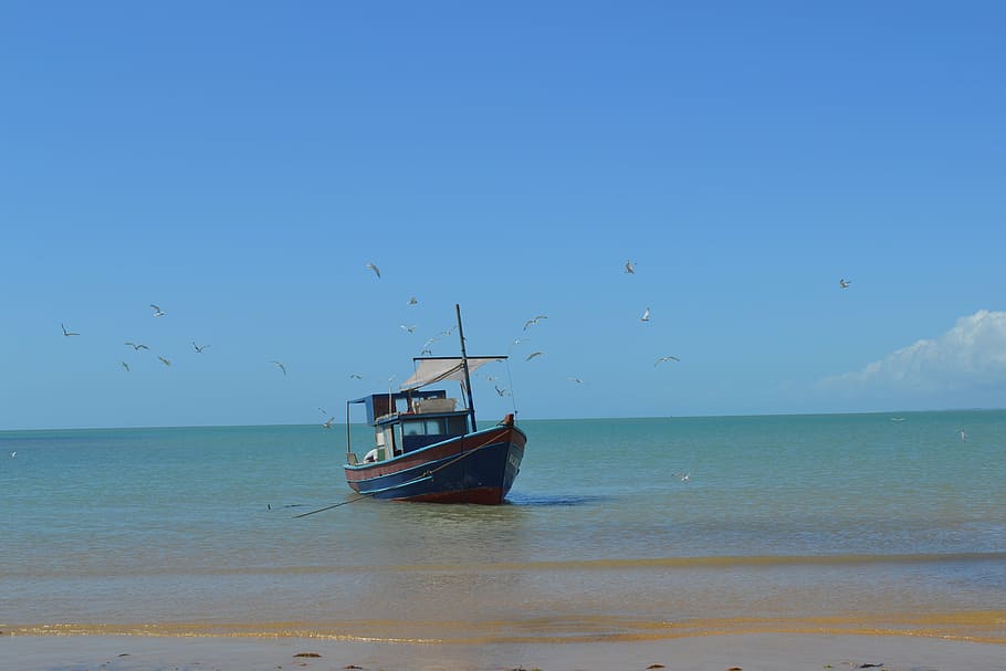 boat, mar, bahia, beach, vessel, fisherman, fishing, litoral HD wallpaper