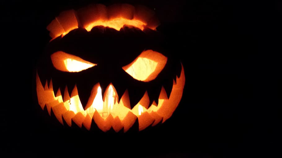 Jack O Lantern, Pumpkin, Halloween, celebration, orange color HD wallpaper