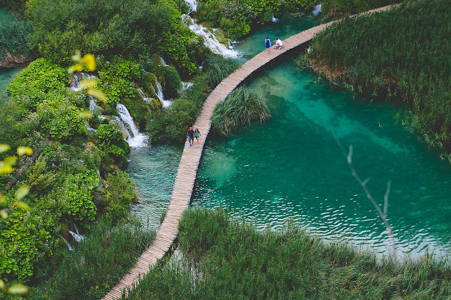 lake, landscape, path, pathway, people, water, plant, high angle view HD wallpaper