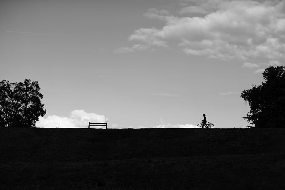 silhouette of person using bicycle, bike, path, bench, park HD wallpaper
