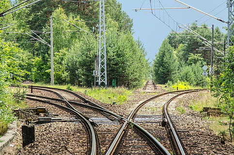 gray steel train rail in the forest during daytime, railway HD wallpaper
