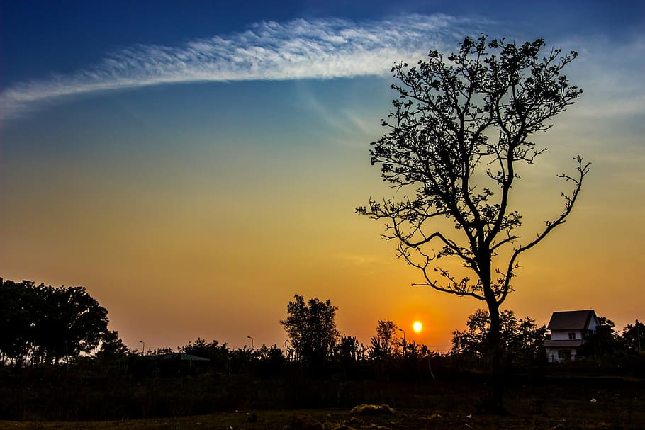 outdoor, ea, kao, dak, lak, write, male, tree, sunset, sky HD wallpaper