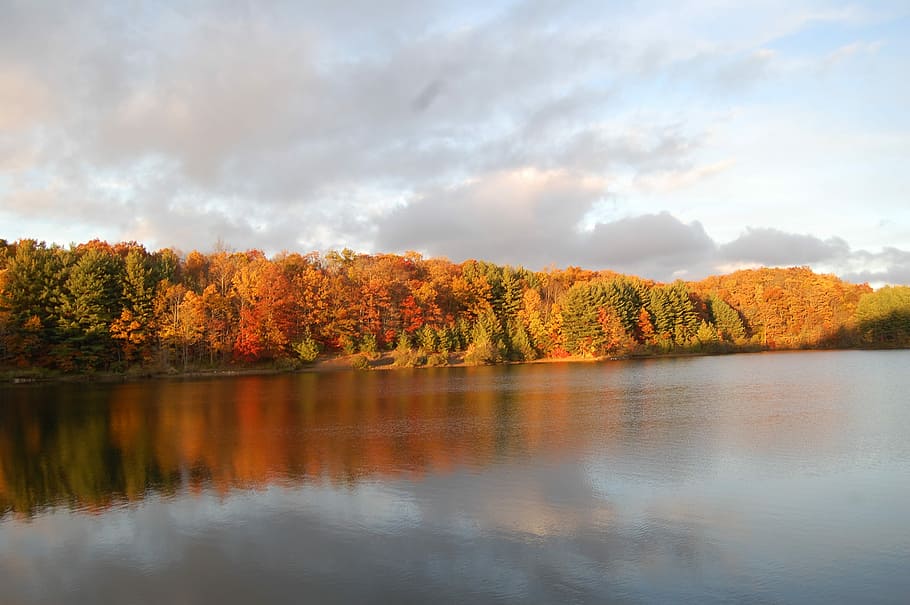 Fall, Wise, Reservoir, at, wise reservoir, autumn, nature, lake HD wallpaper