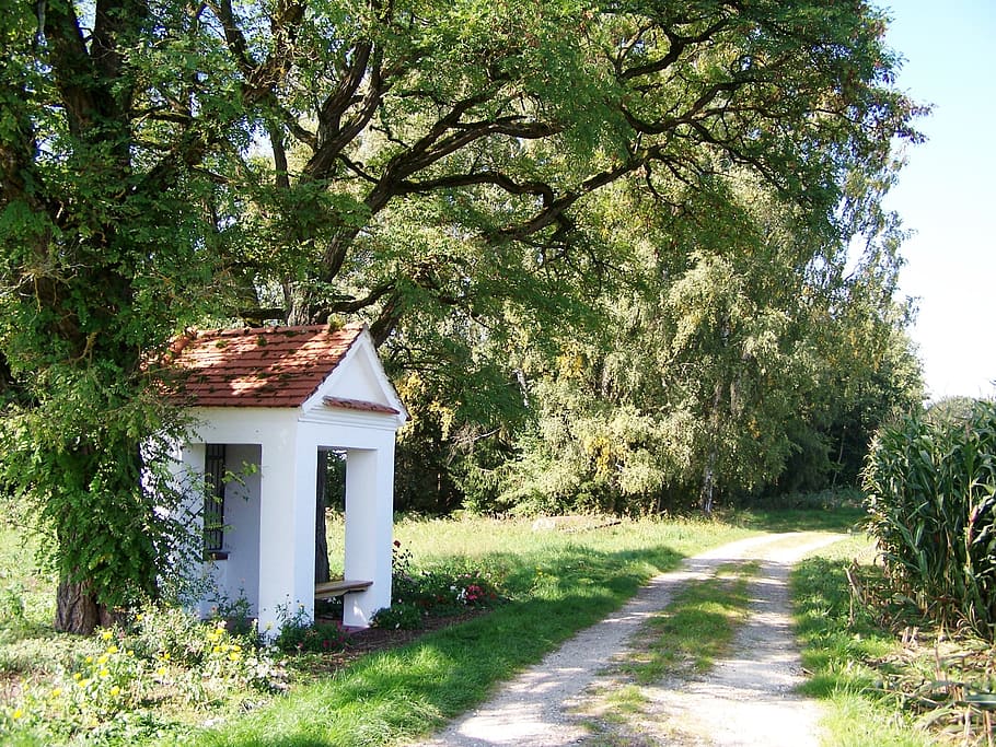 chapel, weißenhorn, forest path, summer, tree, plant, built structure HD wallpaper