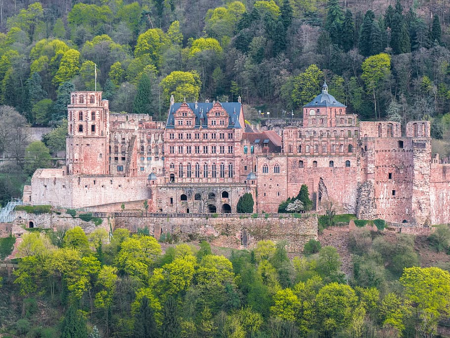 landscape photography of beige castle surrounded by trees, heidelberg, HD wallpaper