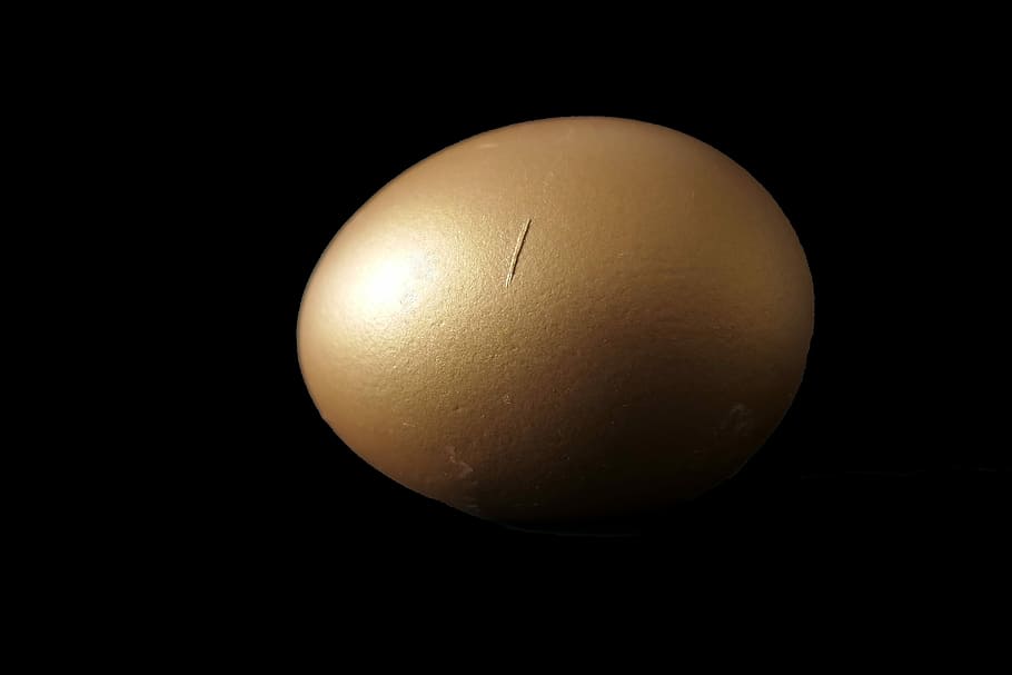 egg, easter egg, protein, yolk, golden egg, food, breakfast HD wallpaper