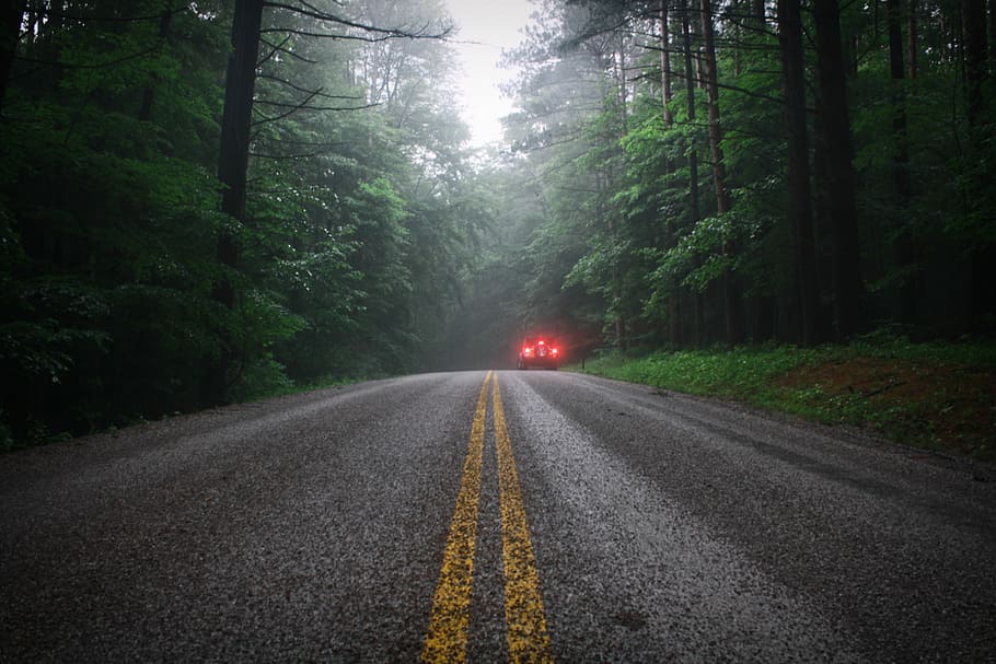 car crossing on forest road, vehicle on the right side of concrete pavement between forest at daytime HD wallpaper