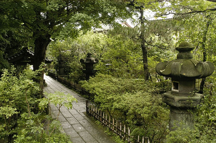 temple, natural, stone lanterns, quiet, healing, kamakura, ankokuron-ji HD wallpaper