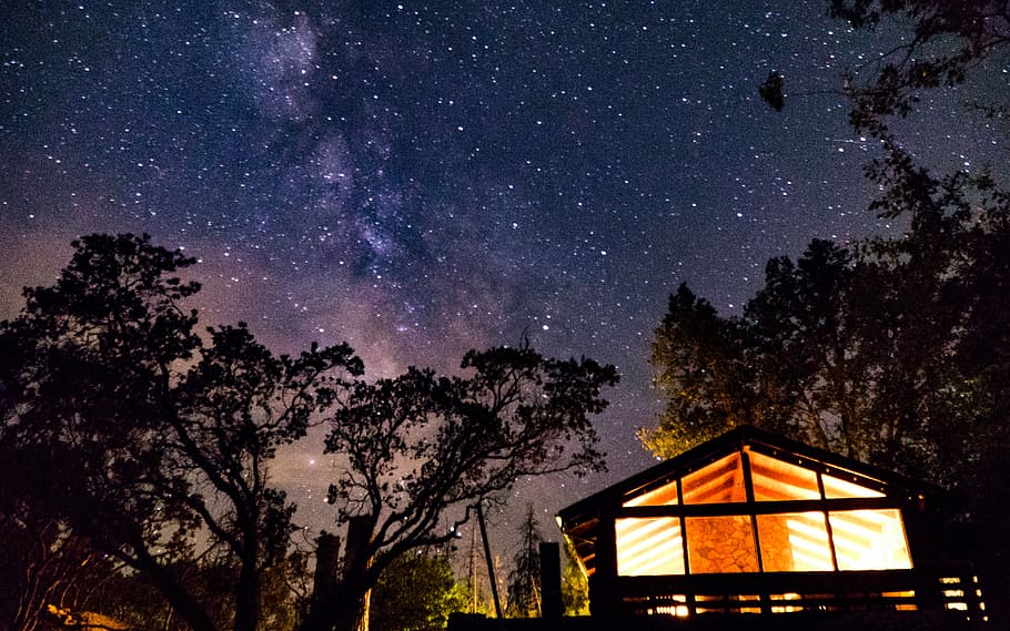 silhouette of house near trees during nighttime, lighted wooden house under starry sky HD wallpaper