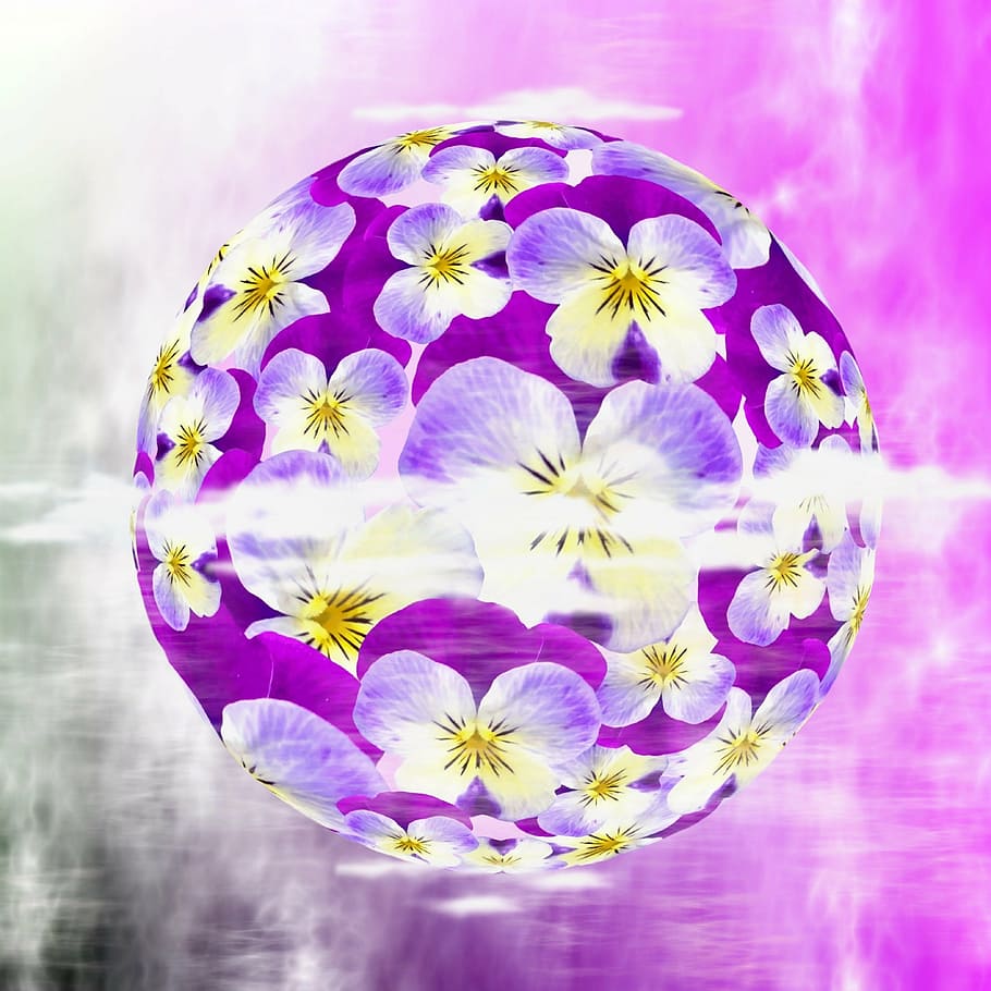 purple-and-white pansies, violet, pansy, viola, collage, planet HD wallpaper