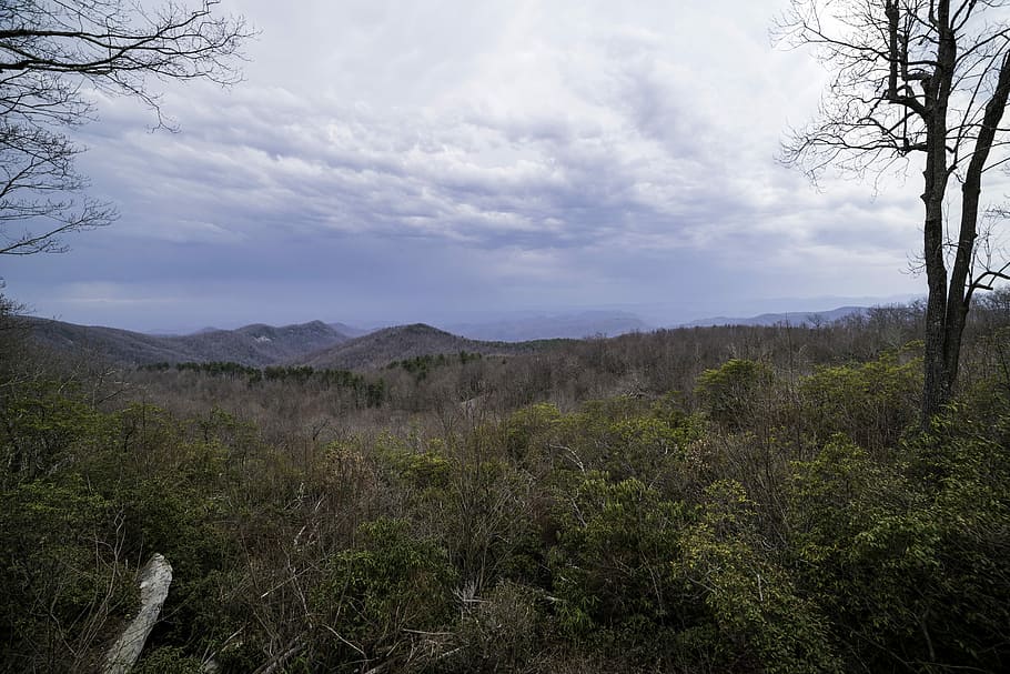 Forested Hills under heavy clouds at Sassafras Mountain, South Carolina HD wallpaper