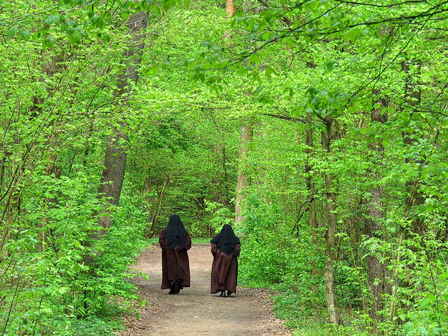 Nuns, Spacer, Spring, Green, Green, Forest, conversation, prayer HD wallpaper