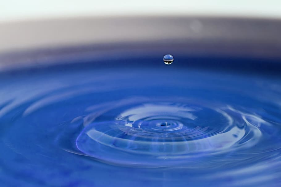 macro photography of water drop, splash, liquid, clean, transparent HD wallpaper