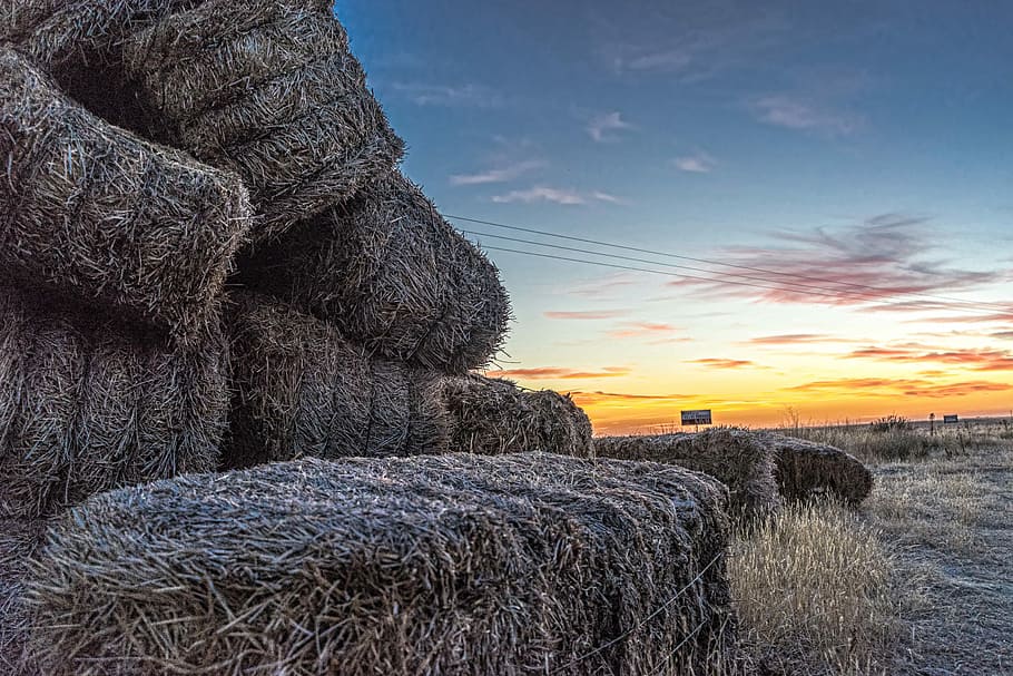 Sunset, Dusk, Castilla, Field, Farm, farmer, sky, clouds, landscape HD wallpaper